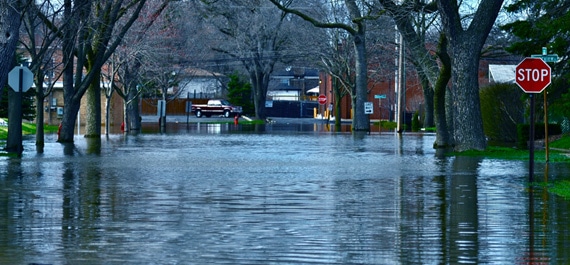 We would have had a flooded crawlspace if not for Roost!
